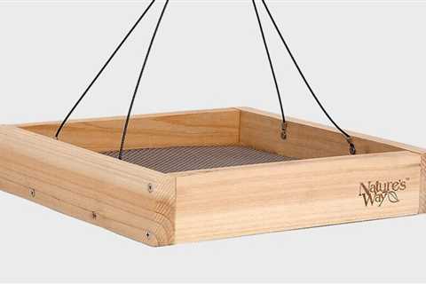 Sunflower Seed Feeders: What You Need to Know
