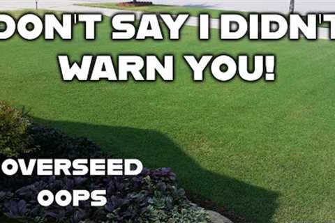 You'll regret this single biggest lawn care mistake! // You don't have to keep up with the Joneses.