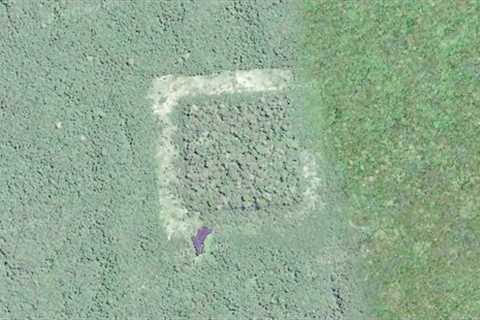 This Scientists Has Just Announced They've Discovered The World's Oldest Pyramid Deep In This Jungle