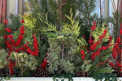 9 Winter Window Box Ideas