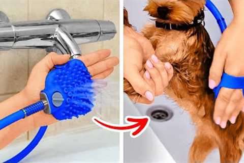 Awesome Hacks And Gadgets For Pet Owners