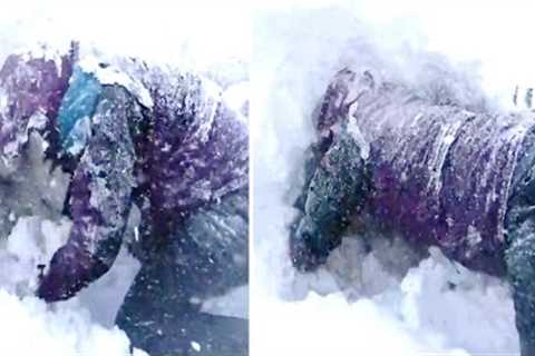 This Satellite Has Revealed To Scientists That Something Massive Is Hiding Underneath Antarctica