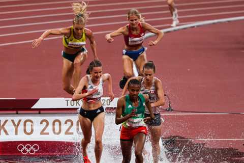 Like the horse race that it is named after, steeplechase requires stamina and agility as well as..