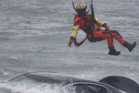 Dramatic rescue attempt as car floats towards Niagara Falls' edge