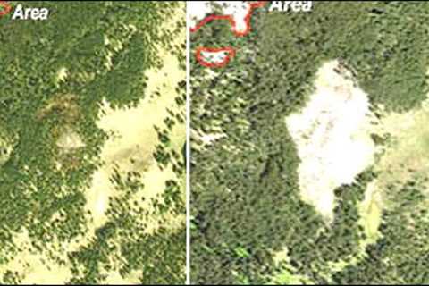Yellowstone National Park Rangers Say That Something Huge Has Just Been Detected Under Yellowstone