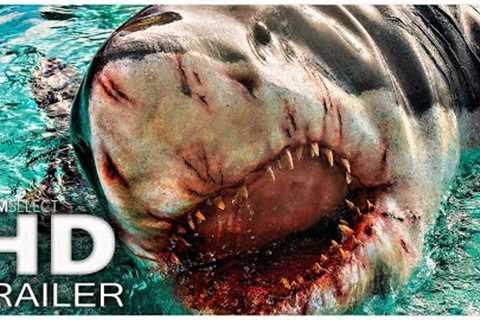 THE REQUIN Trailer (2022)
