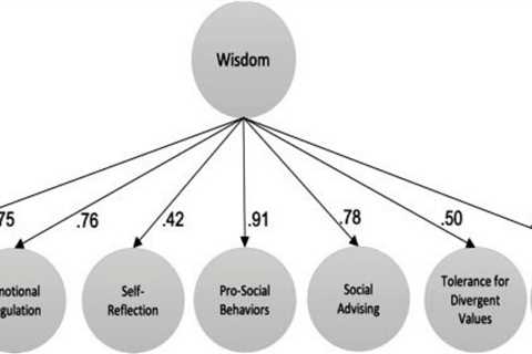 Can Seven Questions Determine How Wise You Are?