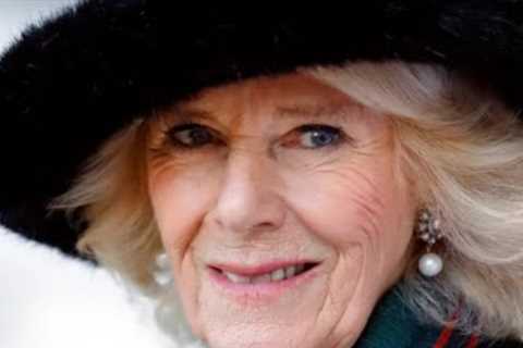 What Did Camilla Parker Bowles Say After First Meeting Prince William?