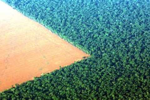 Archaeologists Have Just Discovered A Huge Map In The Amazon Jungle That's Laid Out Like The Cosmos