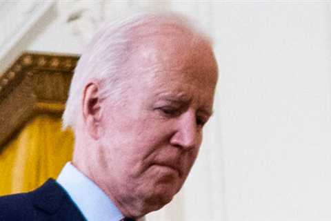 Democrats Stand Solidly behind Biden. There is no consensus on a Plan B.