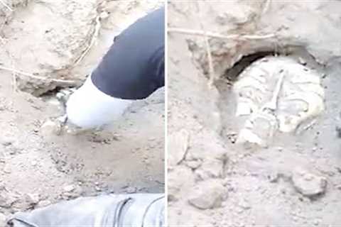 This Worker Noticed This Sticking Out Of A Deep Hole In Mexico But Never Expected It To Be This