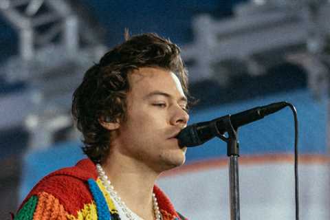 The Viral Harry Styles Cardigan just got auctioned off as an NFT