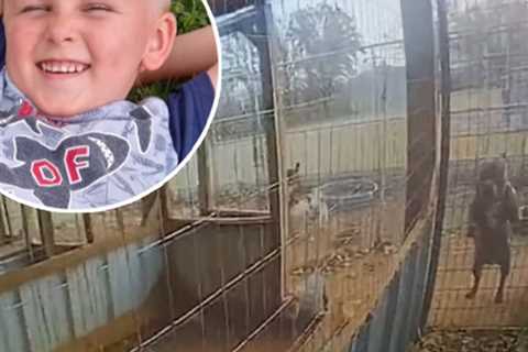 4-Year-Old Oklahoma Boy's Entire Arm Torn Off After Trying to Pet Puppy in Grandmother's Pit Bull..