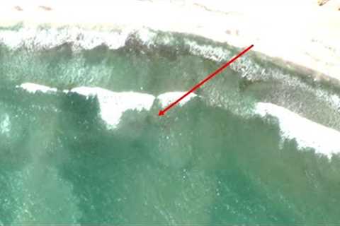 Did This Satellite Just Photograph A Huge Megalodon Shark Off The Coast Of Peru?