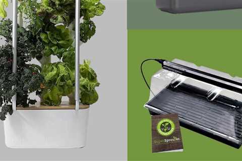 7 Best Indoor Gardening Kits & Systems for 2022
