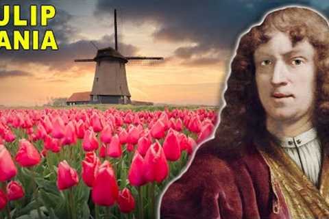 How a Random Flower Became the Bitcoin of the 1600s