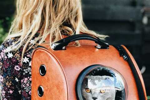 How do you choose the right backpack for college?
