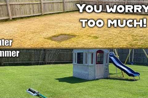 This lawn care video might hurt some feelings! // 3 worthless lawn things to worry about in winter