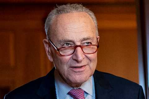 Schumer Vows To Bring Back the Senate's Spending Plan