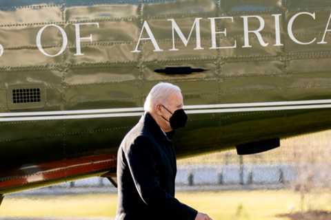 Biden welcomes a new puppy to the White House