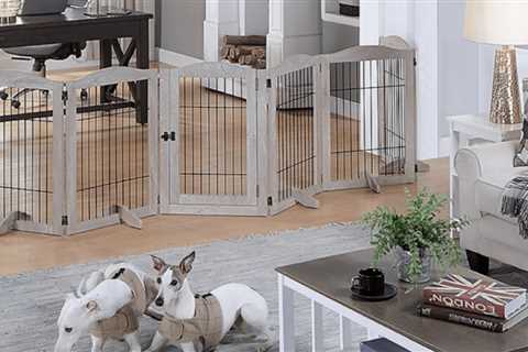 The 10 Best Pet Gates For Cats and Dogs