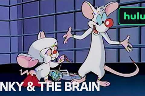 Pinky's Letter To Santa | Pinky And The Brain | Hulu Christmas