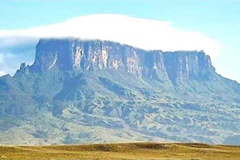 Scientists Have Just Found An Untouched Rainforest In The Mountains Of Bolivia &amp; They Found This