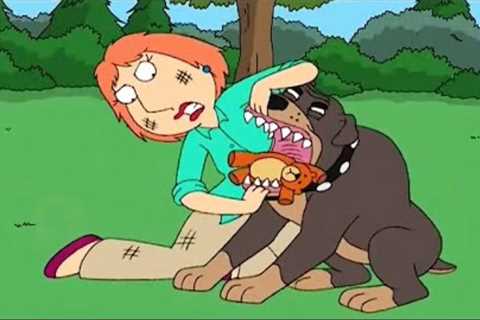 Family Guy Funny Compilation, Part 15