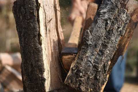 The Homeowner's Guide to Firewood