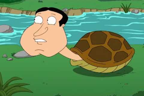 Family Guy Funny Compilation, Part 14