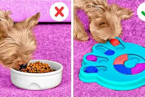 Must-Have Gadgets For Your Pets