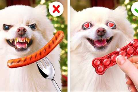 PRICELESS HACKS &amp; COOL GADGETS FOR PET OWNERS