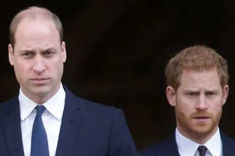 Prince Harry, Prince William, "At War" Over Diana Memorial. Having 'Nasty Fightings," According to..