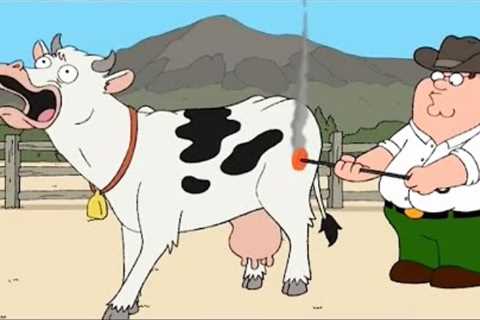 Family Guy Funny Compilation 23