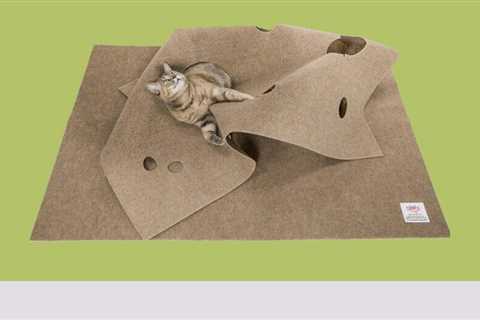 7 Best Cat Toys