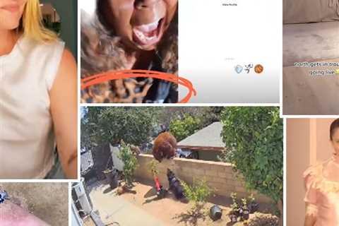 Viral TikTok Moments of 2021: From Lizzo and Chris Evans to North's Livestream