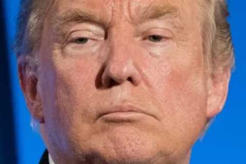 Political Swindlers Who Made Millions of Dollars Off People