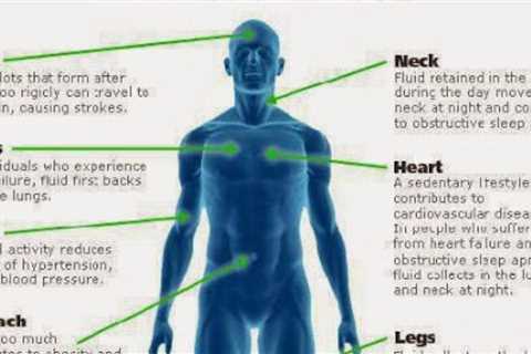Sitting too long can affect 7 areas of the body - Infographic