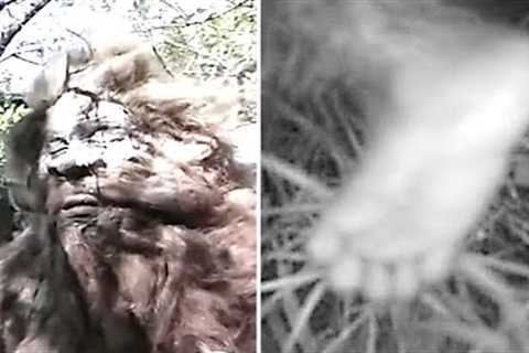 Park Rangers Have Just Announced That Something Is Happening Right Now That Scientists Can't Explain