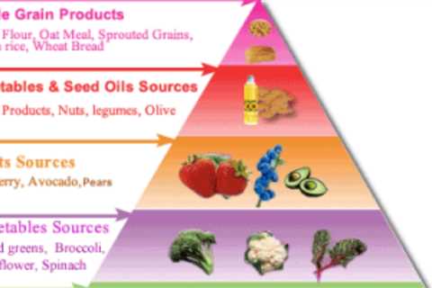 How To Follow Atkins Diet and Lose Weight