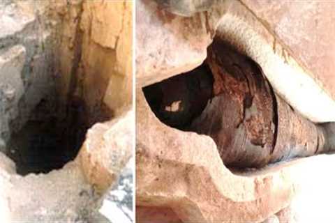 Egyptologists Have Just Made A Chilling Discovery Inside This Newly Found Tomb In Egypt
