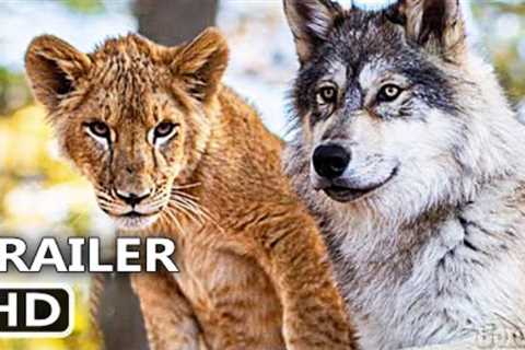 THE WOLF & THE LION Trailer (222) Family Movie