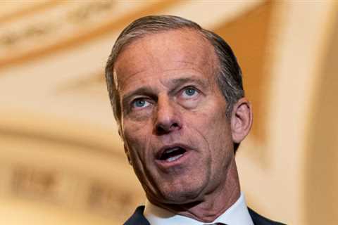 2 Senate Republican, Will Seek a Re-election