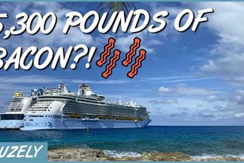 11 INSANE Cruise Ship Facts Most People Don't Know