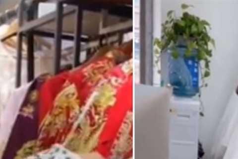 A pregnant bride-to-be destroys 32 wedding dresses after the store refuses to refund $550 deposit