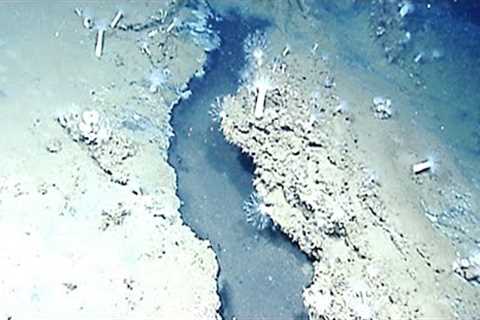 Scientists Discover This Chilling Lake Under The Ocean That Destroys Everything It Touches