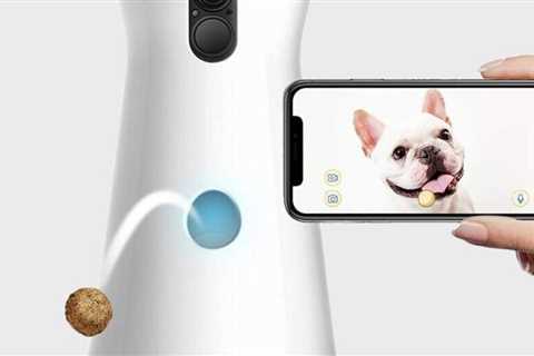 A pet camera to keep an eye on your furry friends