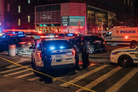 2 N.Y.P.D. Officials Say: Officers Killed in Harlem Shooting