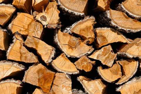 Best Fireplace Wood for Heating