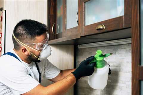 9 Things Your Ant Exterminator Wants To Tell You